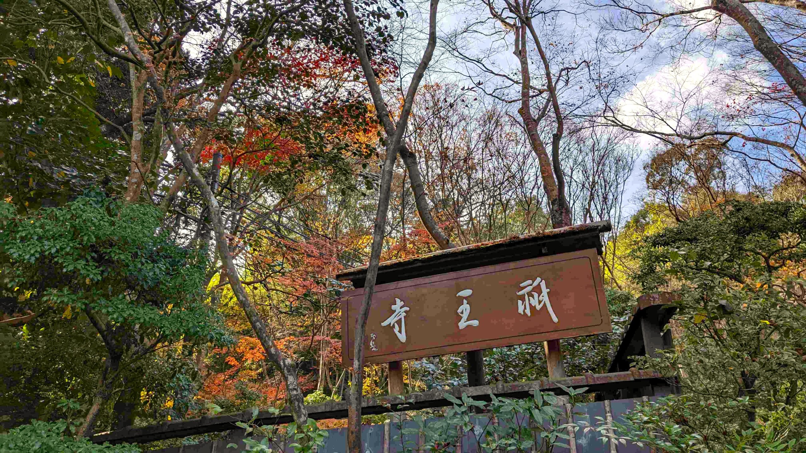 祇王寺の見どころ|嵯峨野の苔庭で静かに過ごす隠れた名所 | 世界はこんなにも広い